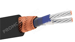 МКЭШ фото